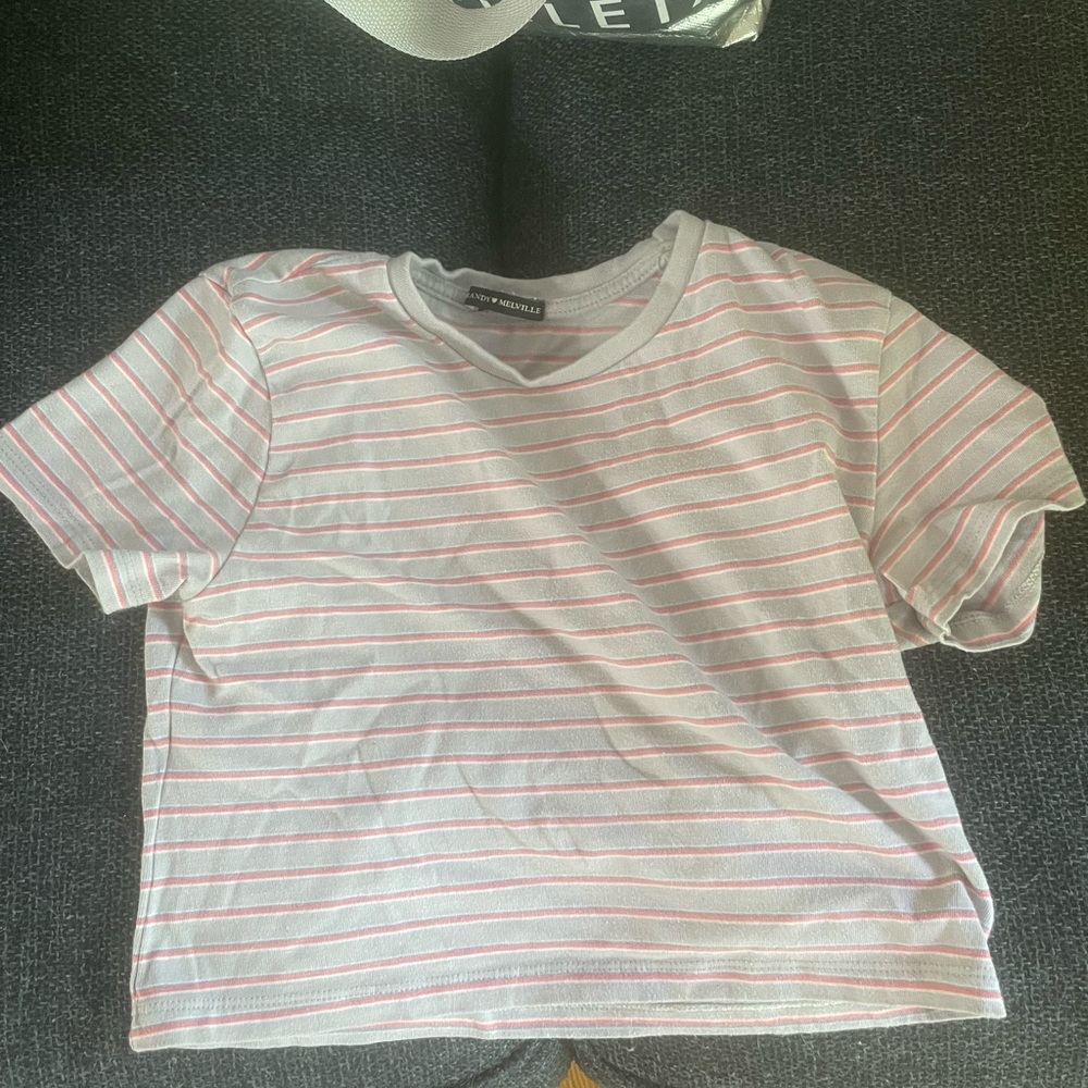 Brandy Melville crop tee